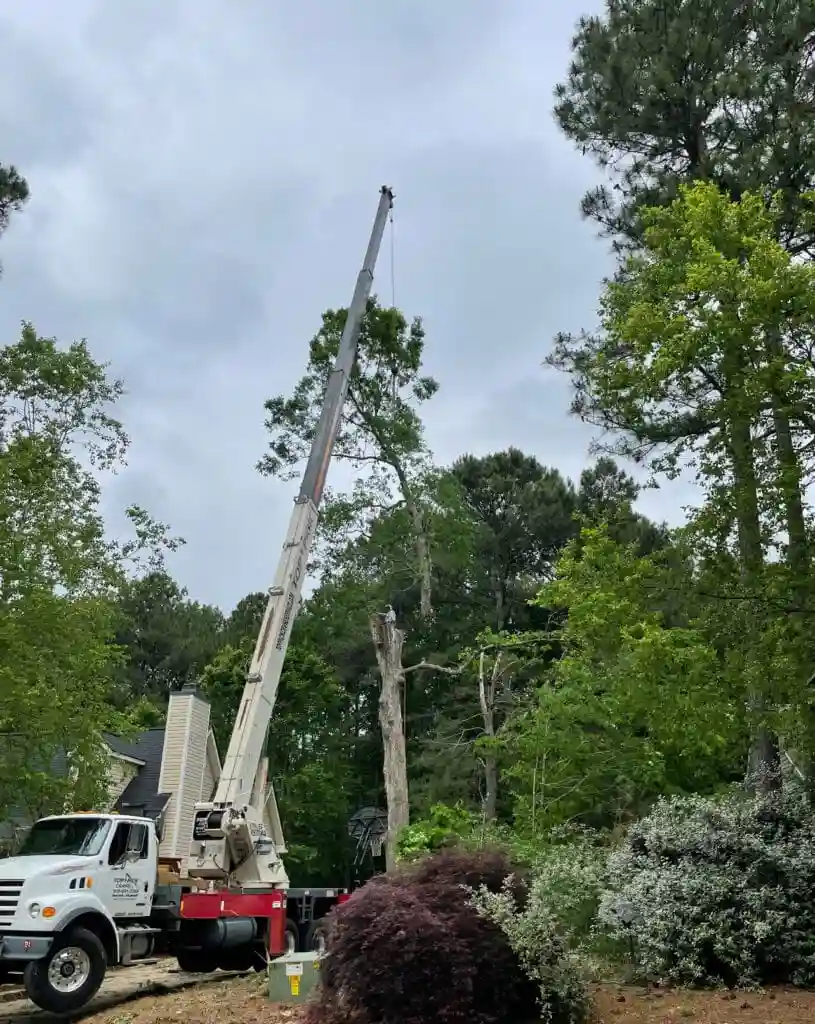 How to Fix a Leaning Tree and Know When It Should Be Removed 5 Fonvilletreeservice crane truck lifting cut tree sections from residential property surrounded by pine trees in NC