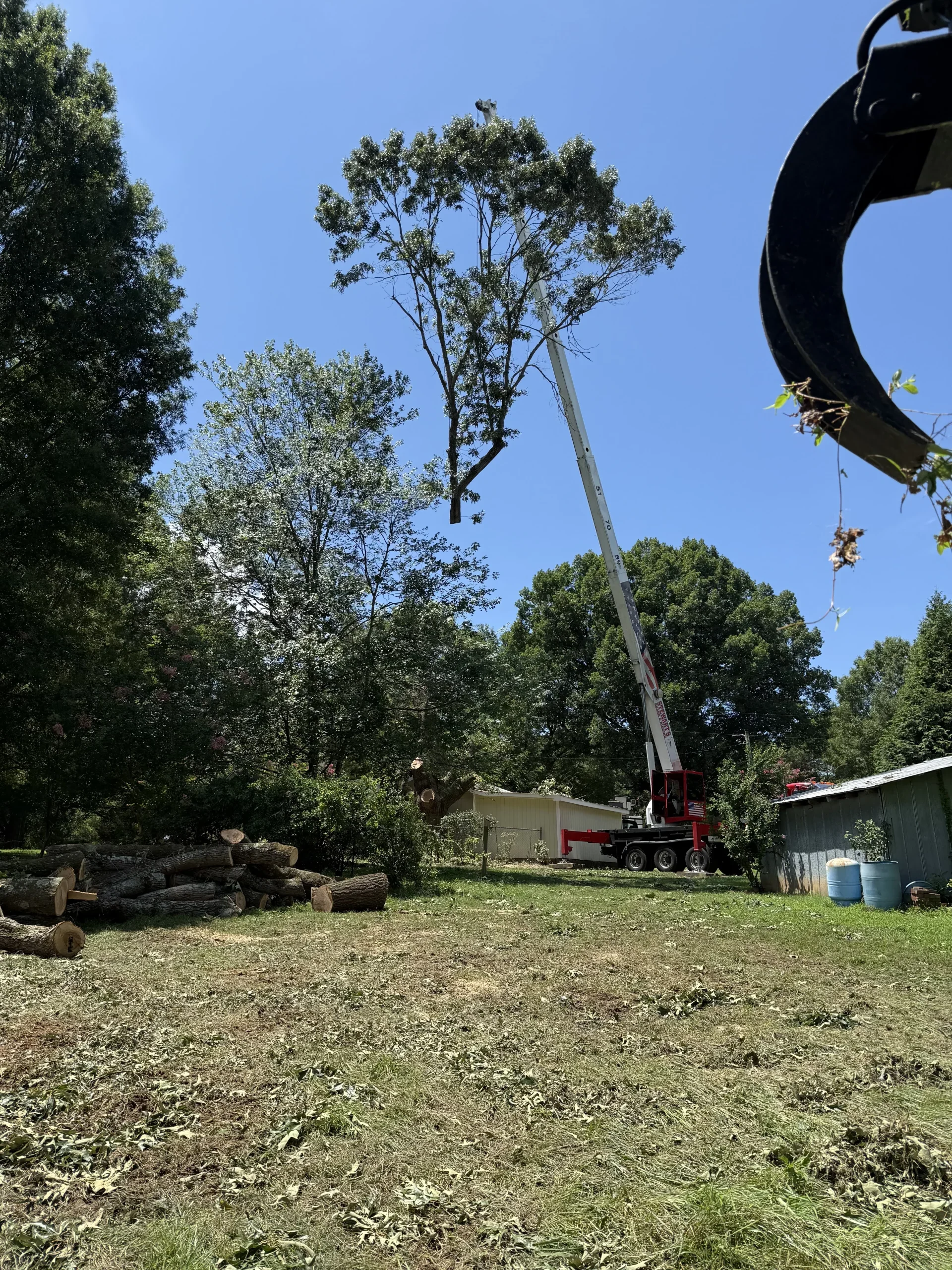 Fonvilletreeservice crane lifting tall tree section while grapple equipment manages cut logs at residential property in NC