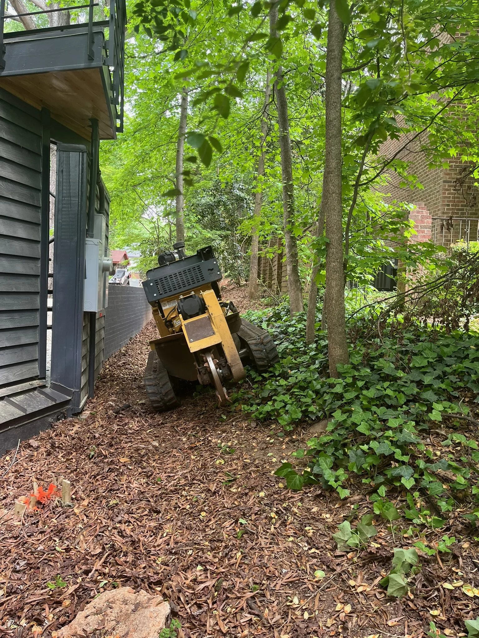 Home 13 Fonvilletreeservice tracked stump grinder machine positioned near tree stumps in wooded residential backyard area in NC
