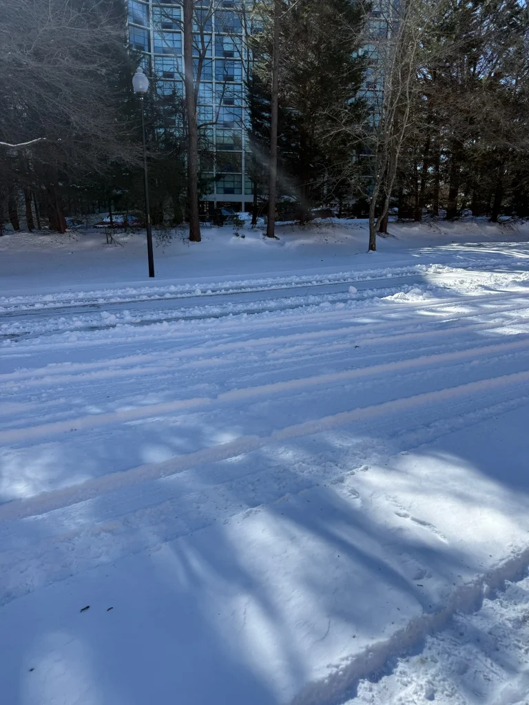Fonvilletreeservice snow-covered pathway with tire tracks through wooded area near residential building in NC winter conditions