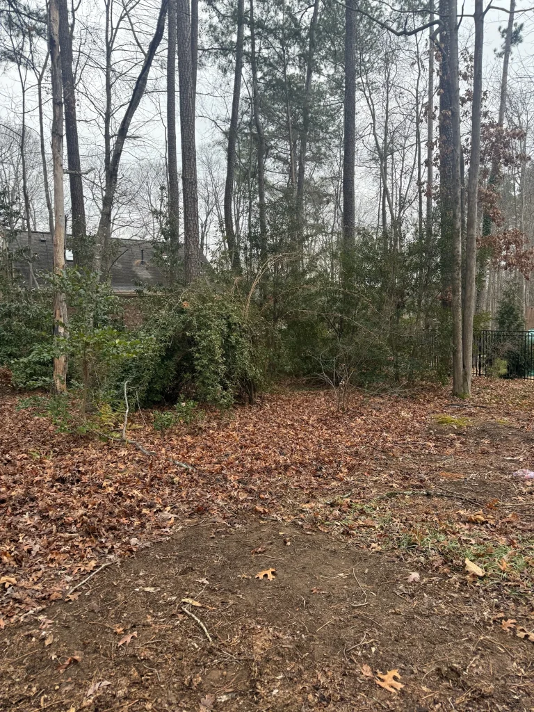 Fonvilletreeservice completed lot clearing showing bare ground with fallen leaves and remaining trees in wooded NC property