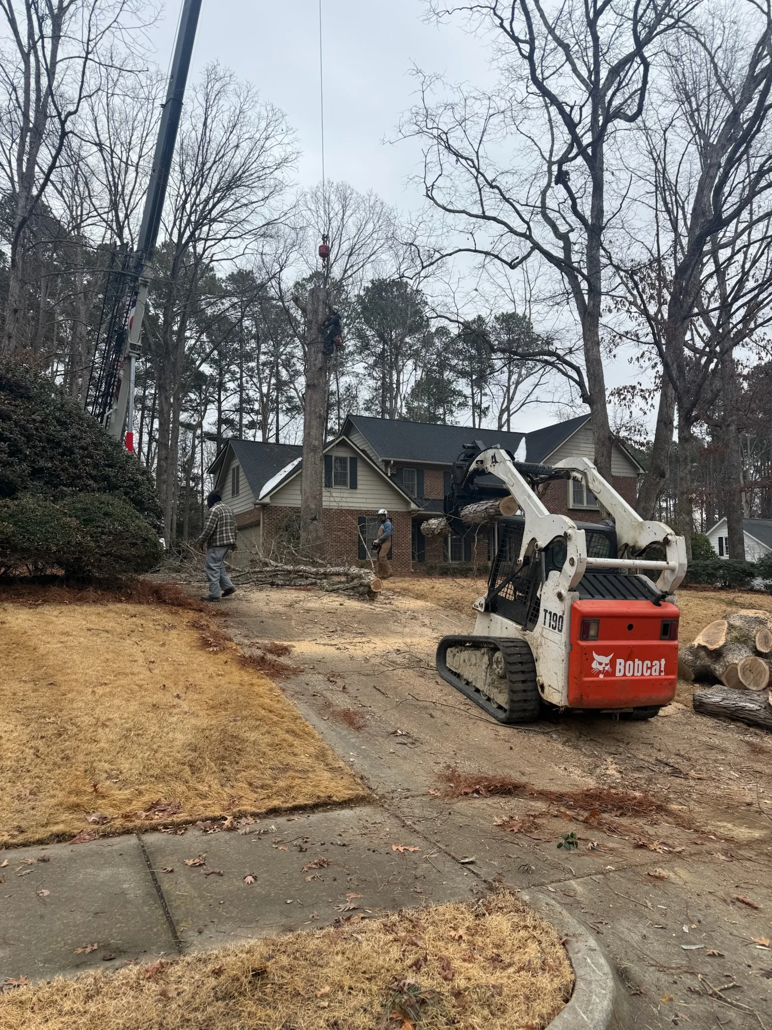 Home 11 Fonvilletreeservice crew performing crane-assisted tree removal with Bobcat T190 loader at residential property in NC