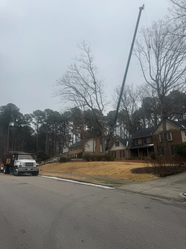 Fonvilletreeservice crane extended over residential property removing large tree while dump truck waits streetside in NC neighborhood