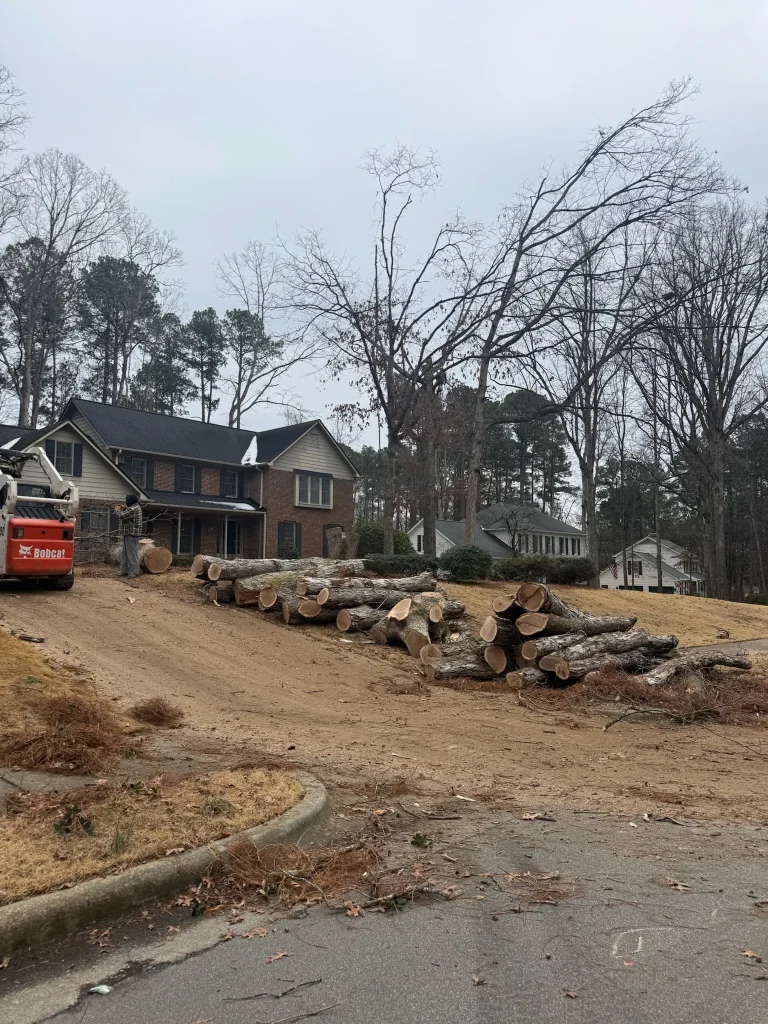 Fonvilletreeservice crew operating Bobcat equipment near stacked cut pine logs on cleared residential lot in NC