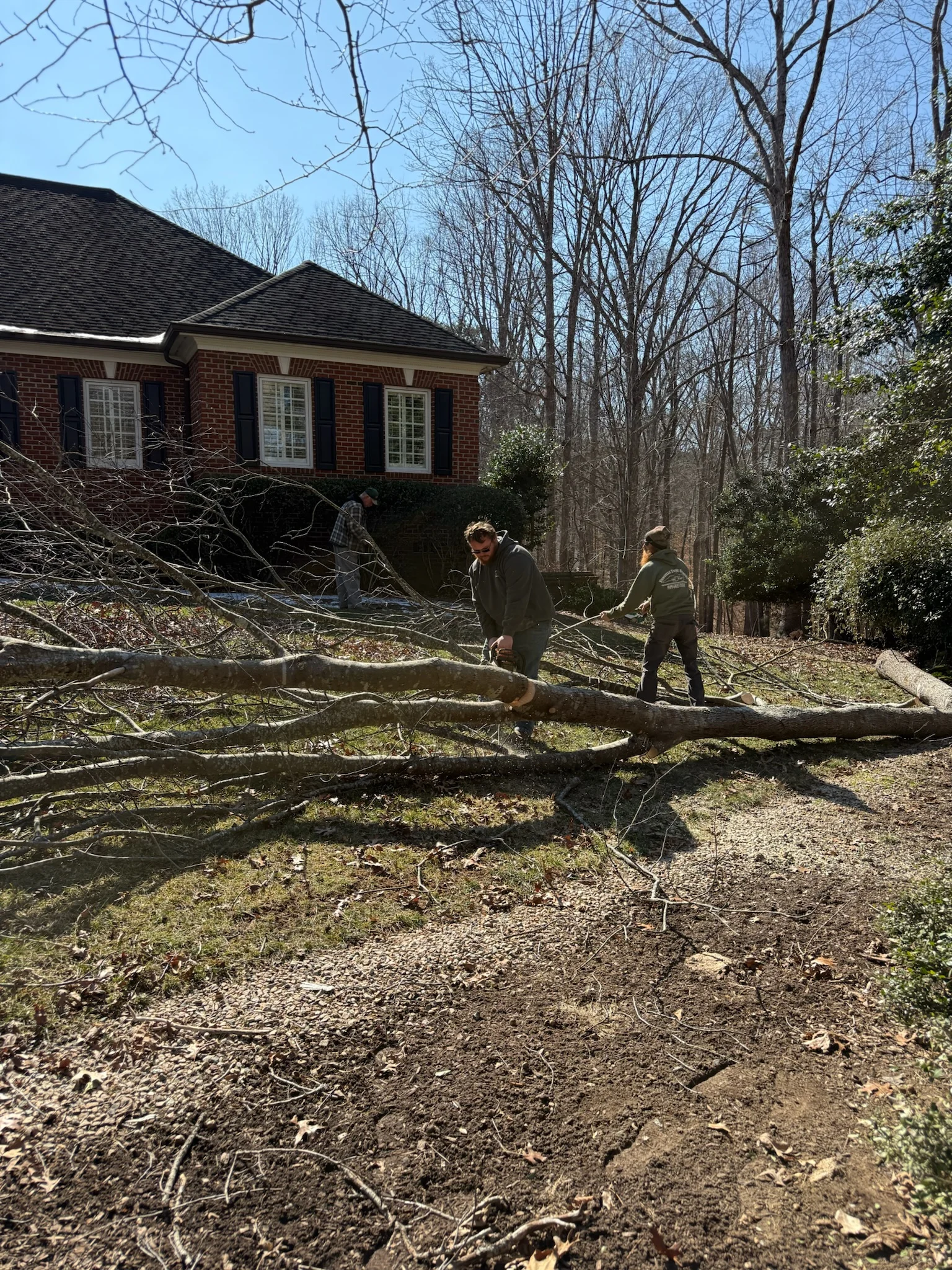 Fonvilletreeservice crew members working together to remove large fallen tree from residential yard in NC
