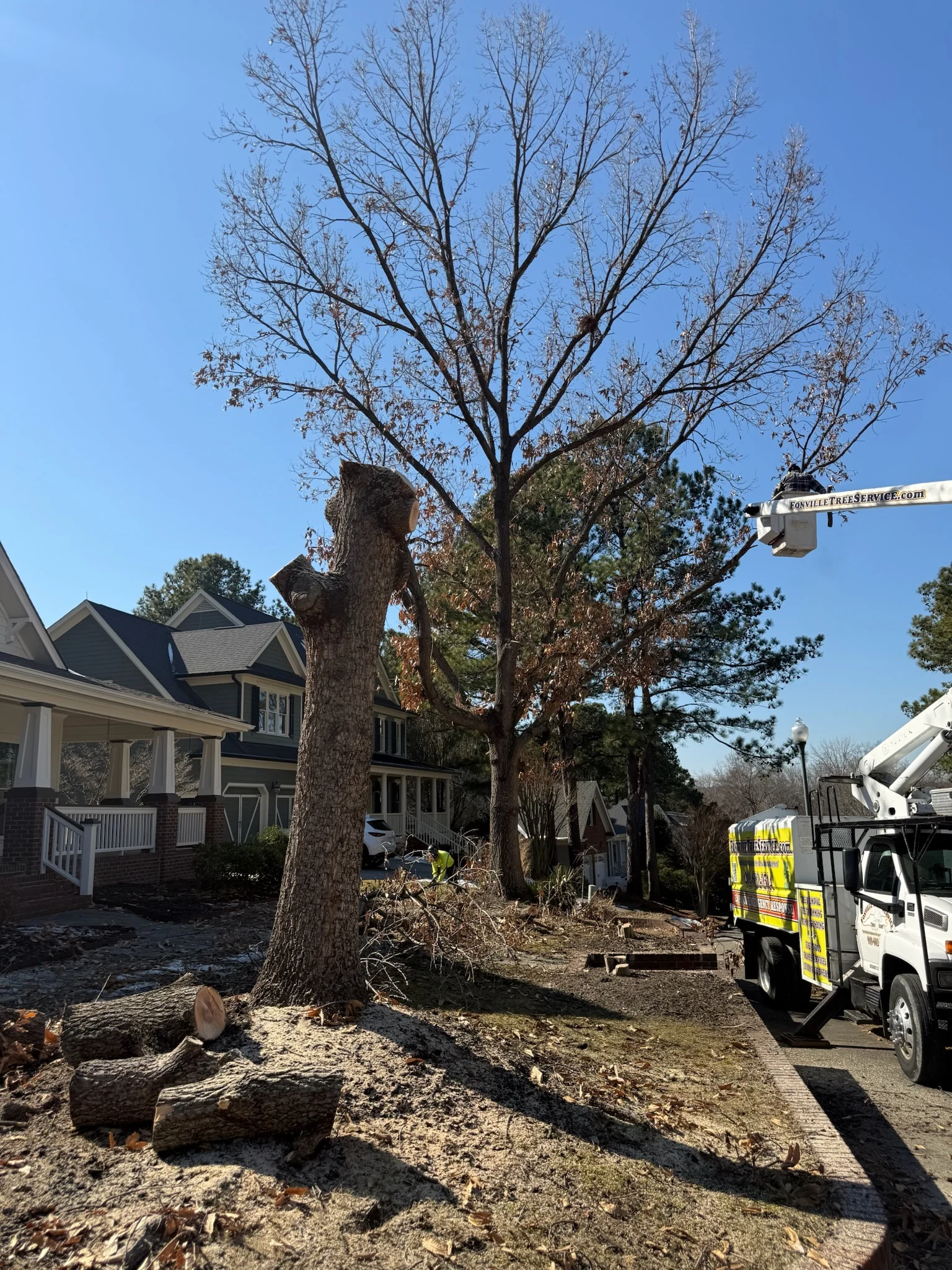 Fonvilletreeservice crew using bucket truck to remove large tree sections near residential property in NC