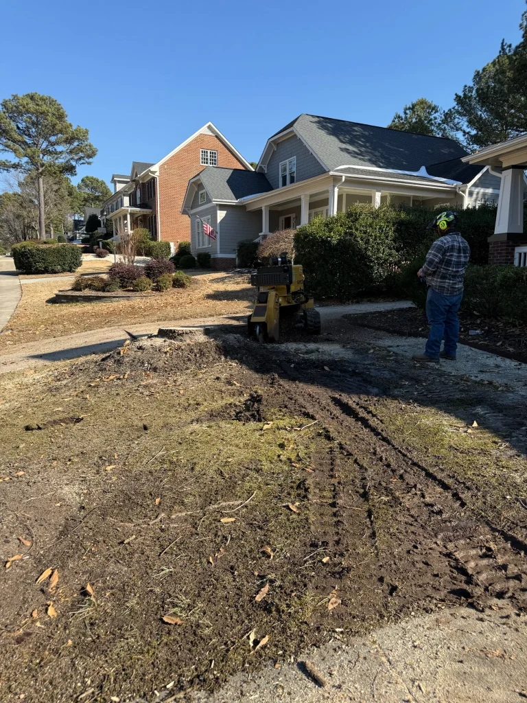 Fonvilletreeservice operator wearing ear protection operates yellow stump grinder removing tree stump in residential yard NC