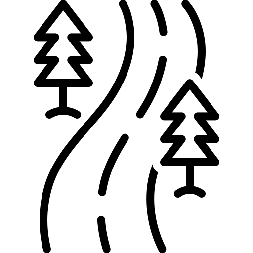 Fonvilletreeservice illustration showing winding path through pine trees representing professional tree service areas throughout NC